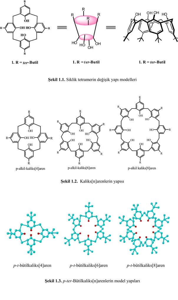 Şekil 1.1. Siklik tetramerin değişik yapı modelleri 