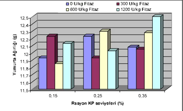 Şekil 5. Rasyon kullanılabilir fosfor (KP) ve fitaz seviyesinin damızlık bıldırcınlarda  yumurta ağırlığına (g) etkisi 