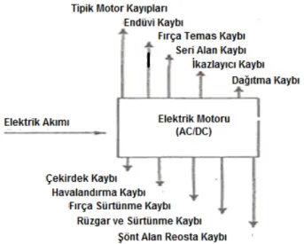 Şekil 3.15. Tipik motor kayıpları 