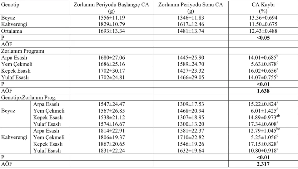 Çizelge 4.1. Zorlanım periyodunda, kahverengi ve beyaz yumurtacı hibritlerin farklı zorlanım programlarındaki CA kayıpları ( X ± S X )  Genotip  Zorlanım Periyodu Başlangıç CA 