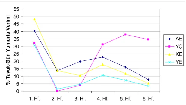 Şekil 4.1. Zorlanım periyodunda zorlanım programlarının haftalar itibariyle yumurta  verimine etkisi  0510152025 AE YÇ KE YE