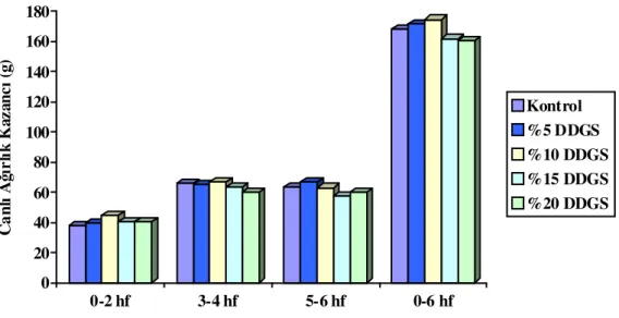 Şekil 4.1. Farklı seviyelerde DDGS ilavesinin Japon bıldırcınlarının canlı ağırlık kazancı üzerine etkileri 