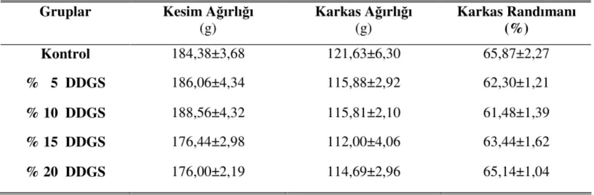 Çizelge 4.4.  Farklı seviyelerde DDGS içeren veya içermeyen rasyonların Japon bıldırcınların kesim  ağırlığı, karkas ağırlığı ve karkas randımanı üzerine etkileri 