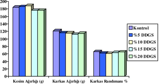 Şekil 4.4. Farklı seviyelerde DDGS içeren veya içermeyen rasyonların Japon bıldırcınların kesim ağırlığı,  karkas ağırlığı ve karkas randımanı üzerine etkileri  