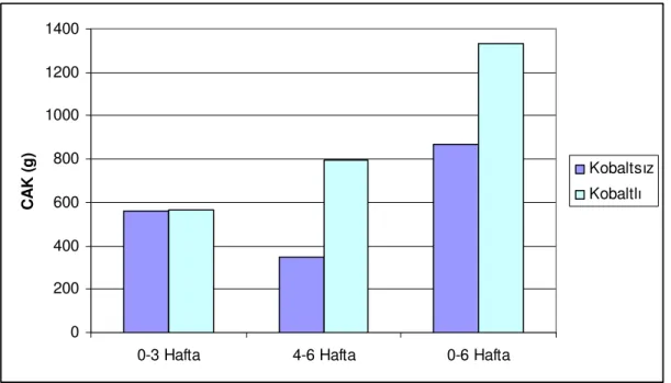 Çizelge  4.1.  Eksojen  kobalt  ilave  edilen  veya  ilave  edilmeyen  rasyonların  etlik           piliçlerin canlı ağırlık kazançlarına etkileri 