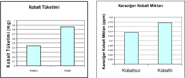 Şekil 4.6. Eksojen kobalt ilave edilen veya edilmeyen rasyonların etlik piliçlerin      kobalt tüketimleri ve karaciğerlerinde kobalt miktarına etkisi  