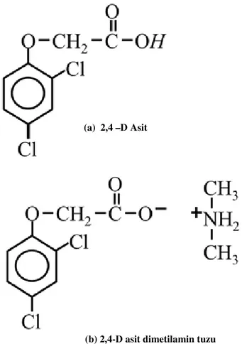 Şekil 2.6.  2,4-D asit (a), 2,4 yapısı (Hager, 2007) 