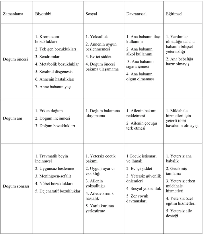 Tablo 2.3. Zihinsel Engelliliğin Risk Nedenleri (Luckasson ve diğerleri, 2002, S.127)