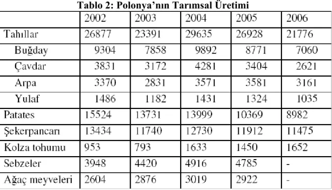 Tablo 2: Polonya’nın Tarımsal Üretimi 