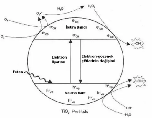 Şekil 2.4 TiO 2 'nin başitleştirilmiş fotokatalitik mekanizmasının şematik gösterimi  (EPA, 1998)