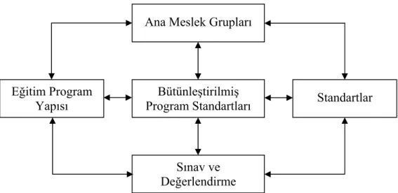 Şekil 2. Bütünleştirilmiş Program Standartları (Akgül, 2002:80) 