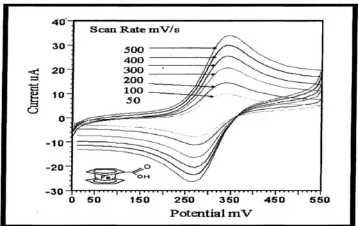 Şekil 1. 6. Ferrosen karboksilik asitin pH = 7.0 olduğu fosfat tamponunda pik  akımının tarama hızı ile değişimi 