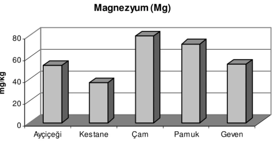 Şekil 4.6. Farklı orijin ballarının magnezyum içeriklerindeki dağılım 