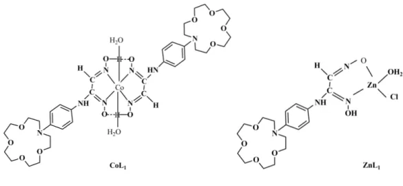Çizelge 5.5. anti-N-(4-aminofenil)aza-15-crown-5 glioksim ligandı ve komplekslerinin  karakteristik FTIR spektrum verileri  