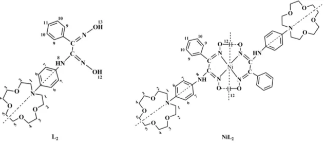 Çizelge 5.14. Bileşikler (L 2 , NiL 2 )’in  1 H NMR spektrum verileri (δ:ppm,DMSO-d 6 )  Bileşik  NCH 2 CH 2,  NCH 2 CH 2,  OCH 2 CH 2 (1,23,4,5)  Ar-H (6)  Ar-H (7)  N-H (8)  Ar-H  (9-11)  O-H (12)  O-H (13)  L 2 3,35-3,55  (m, 20H)  6,70  (dd,2H)  6,37  