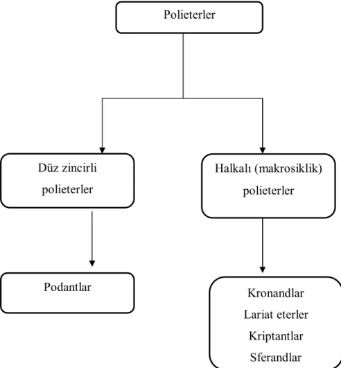 Şekil 1.20. Polieterlerin sınıflandırılması 