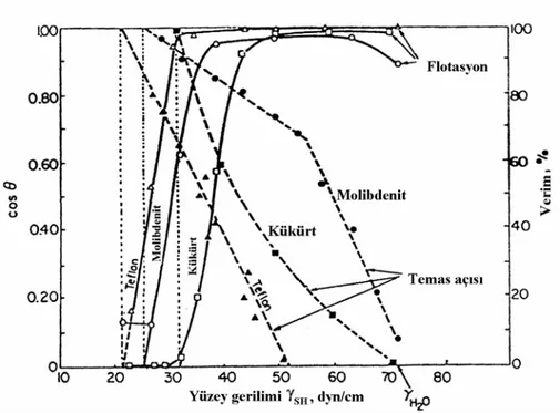 Şekil 2.7. Yüzey geriliminin molibdenit, sülfür ve teflonun flotasyon ve  ıslanabilirliğine etkisi (Yarar ve Kaoma, 1984)