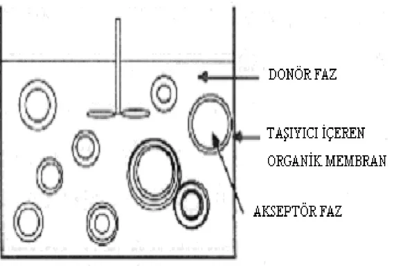 Şekil 1.2.2.1  Laboratuar ölçekli emülsiyon sıvı membran sistemi.