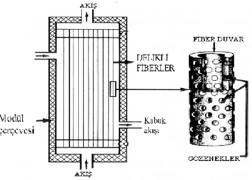 Şekil 1.2.3.2.1  Delikli lif destekli sıvı membran sistemi.