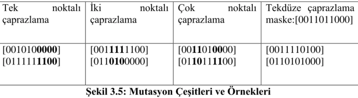 ġekil 3.5: Mutasyon ÇeĢitleri ve Örnekleri  Kaynak : Bolat vd., 2004: 268 
