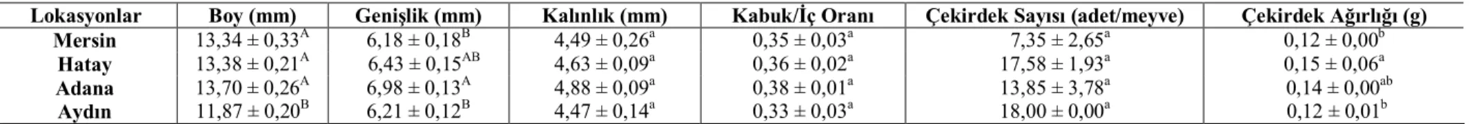 Çizelge 4.9. Portakal çekirdeklerinin lokasyonlara göre boyut ve kabuk/iç oranı değerleri 