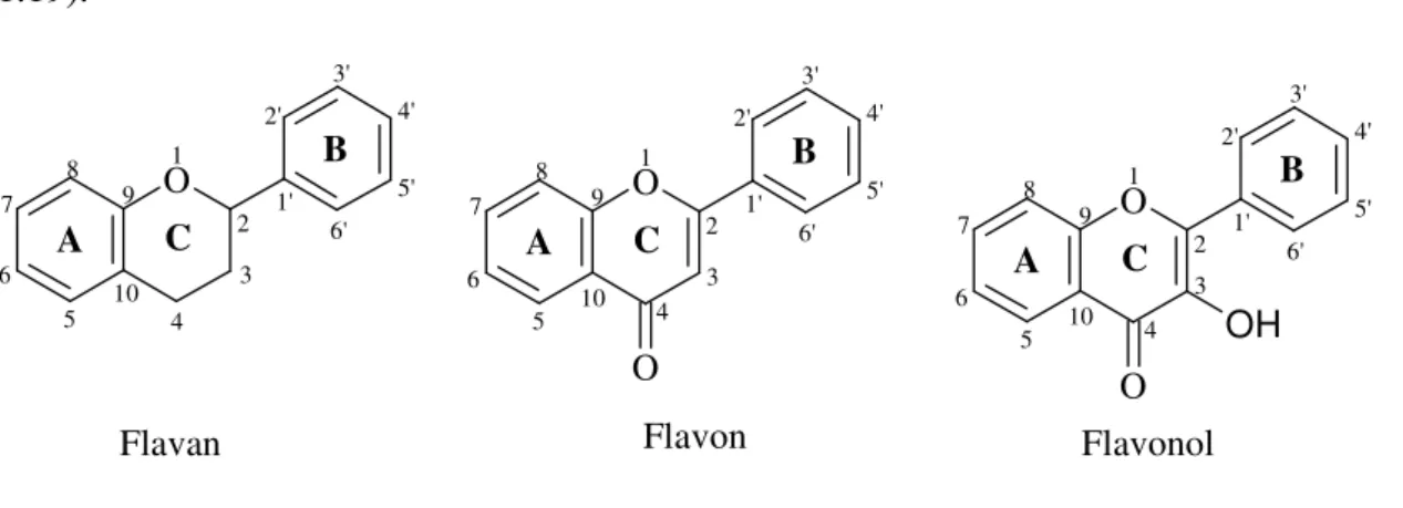 Şekil 1.19 Flavonoid türevlerinin sınıflandırılmasında kullanılan temel yapılar 