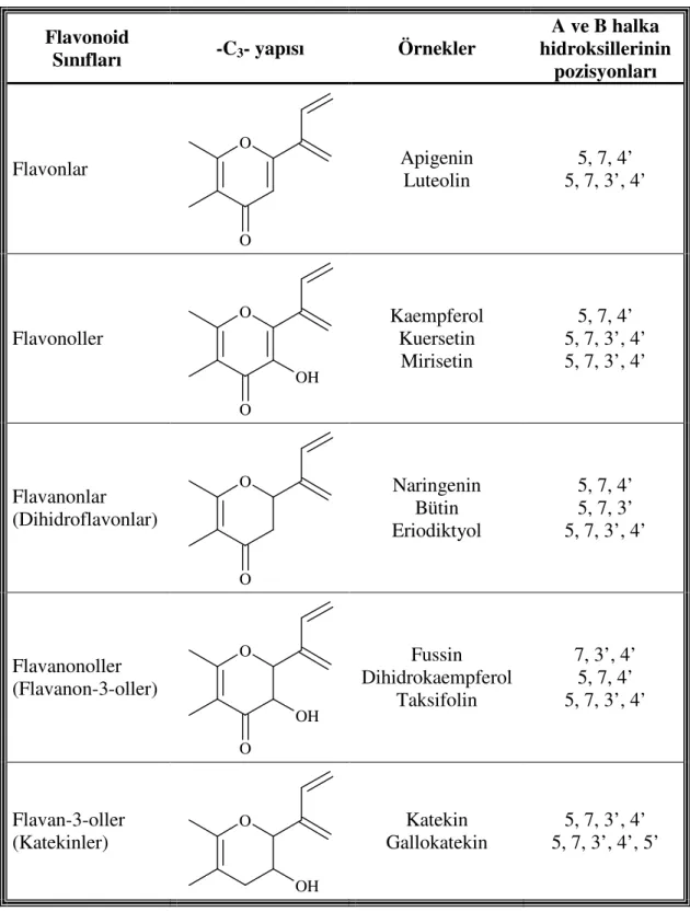 Çizelge 1.2 Flavonoidlerin hetero halkadaki (C 3 ) yapısına göre sınıflandırılması 