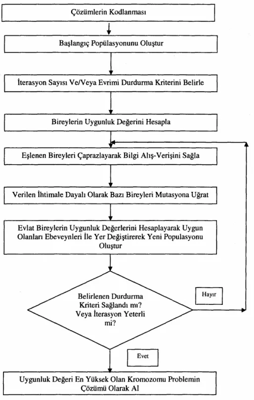 Şekil 4.1.  Genetik Algoritmanın Genel İşleyişi 