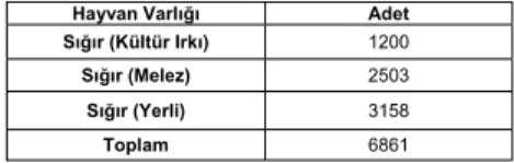 Tablo 4. 16.Büyükbaú Hayvan Varlı÷ı (2005) 