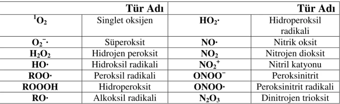 Çizelge 1.1. Oksijen ve nitrik oksitten oluşan başlıca reaktif türleri 