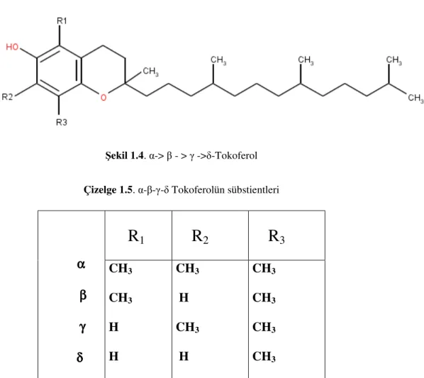 Şekil 1.4. α-&gt; β - &gt; γ -&gt;δ-Tokoferol  Çizelge 1.5. α-β-γ-δ Tokoferolün sübstientleri 