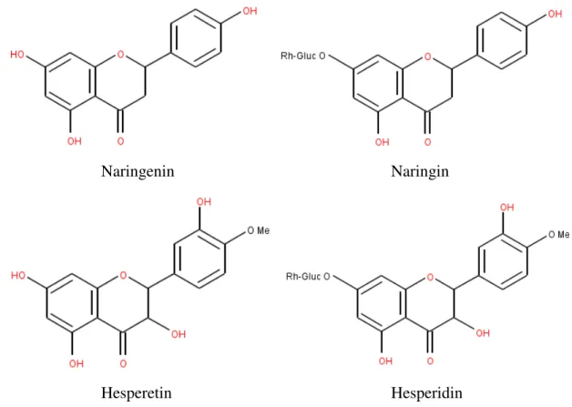 Şekil 1.9. Naringenin, naringin, hesperetin ve hesperidinin kimyasal yapıları 
