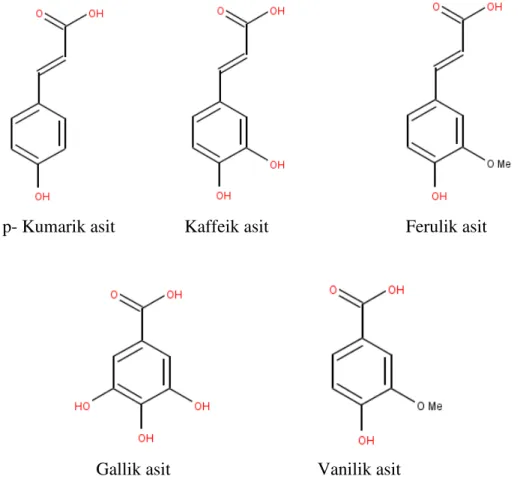 Şekil 1.12. Fenolik asitlerin kimyasal yapıları 