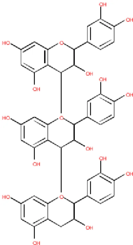Şekil 1.13. Fenolik polimerlerin yapısı 