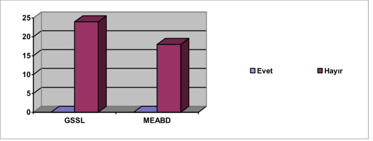Şekil  8-  GSSL ve MEABD’deki FE’nin her düzeye uygun ÇTFE’yi bulup bulamama  durumuna ilişkin grafiksel dağılım