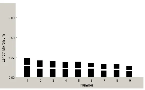 Şekil 4.2. Centaurea cadmea taksonunun idiyogramı 2n=18. 