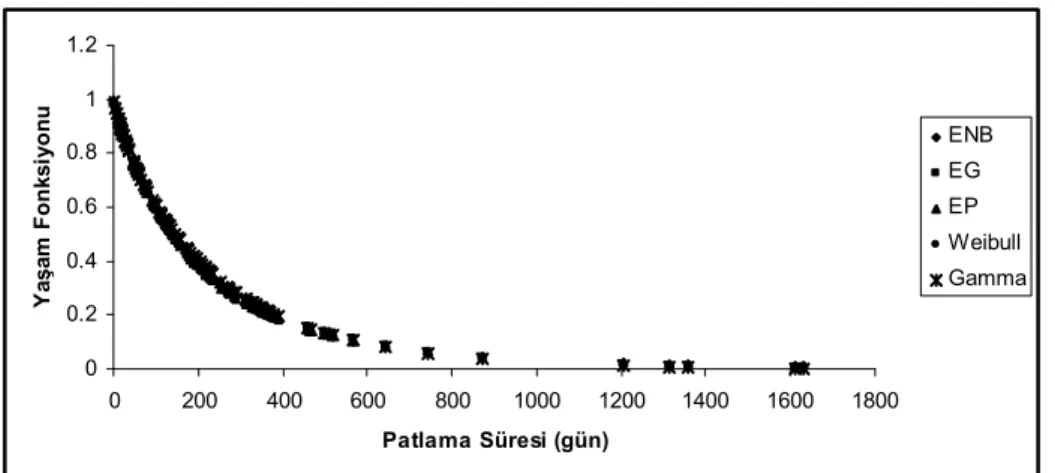 Şekil  5.7  Grizu  patlamaları  arasındaki  geçen  sürelere  dayalı  en  çok  olabilirlik  tahmin  edicileri  kullanılarak  elde  edilen  ENB,  EG,  EP,  Weibull ve Gamma dağılımlarının yaşam fonksiyonları grafiği 