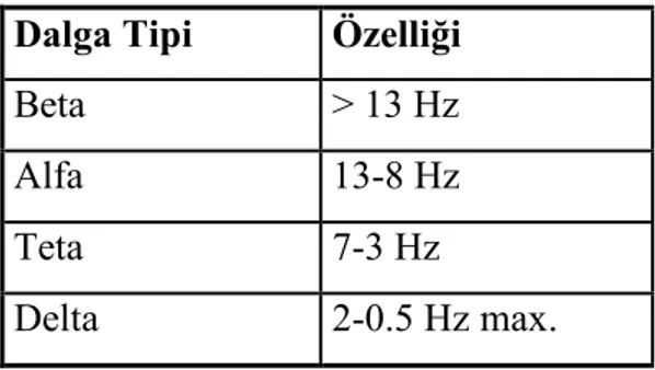 Tablo 3.1 EEG dalga  ekilleri  Dalga Tipi  Özelli-i Beta  &gt; 13 Hz 