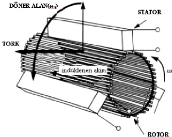 Şekil 4.1. Tipik bir sincap kafes rotorunda indüklenen akım 