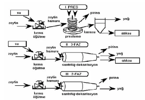 Şekil 2.1. Zeytinyağı üretiminde kullanılan proseslerin akım şemaları 