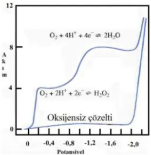 ġekil 1. 3. Hava ile doyurulmuĢ 0,1M KCl çözeltisinde oksijenin indirgenme  voltamogramı