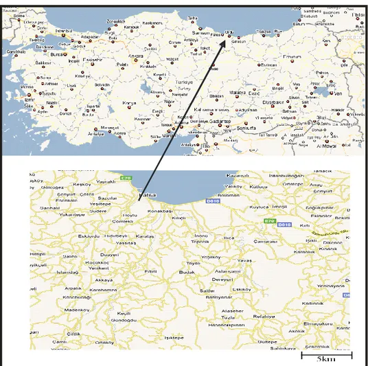 Şekil 1.1. Çalışma sahasına ait yer bulduru haritası. 