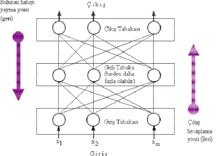 Şekil 2.12 ÇKA ağ modeli 