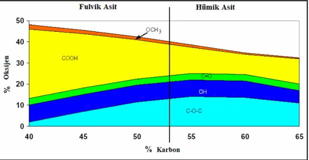 Şekil 1.3. Hümik ve Fulvik Asitlerdeki Fonksiyonel Gruplar 