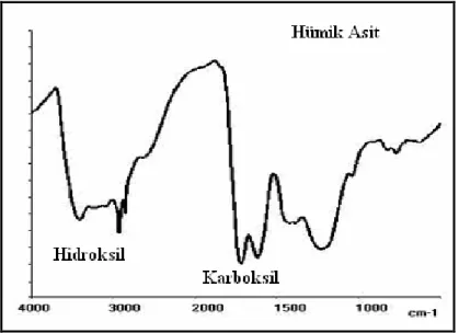 Şekil 1.6. Hümik Asitin IR-Spektrumu  
