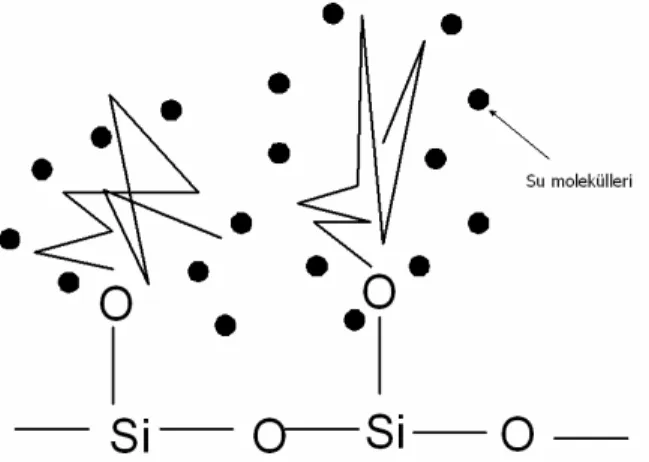 Şekil 1.15. Su molekülleri ile etkileşmiş oktilsilan sabit fazının görünümü 