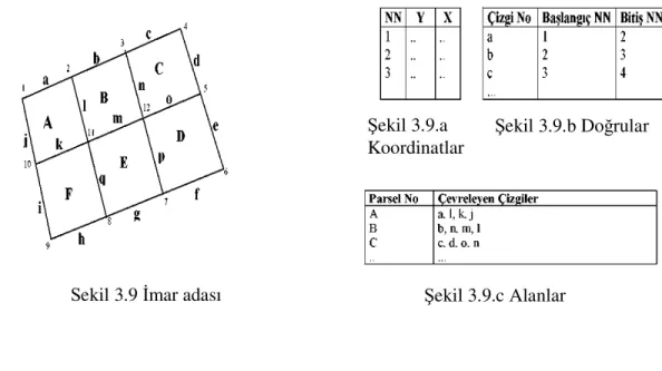 Şekil 3.9.b Doğrular 