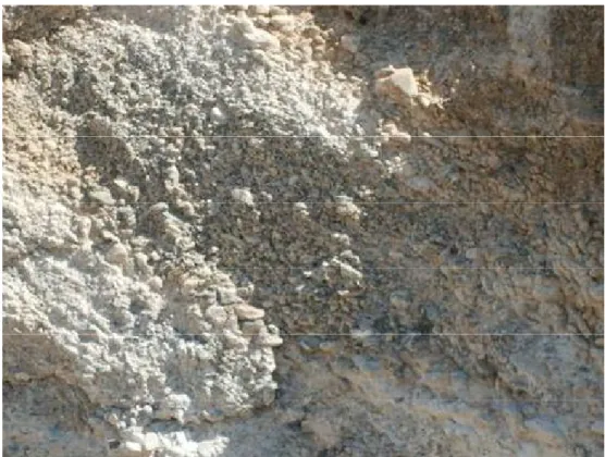 Şekil  4.24.  Ahirigüzel  Köyü  güneyindeki  Cihanbeyli  formasyonuna  (TQc)  ait  polijenik kökenli çakılların görünümü