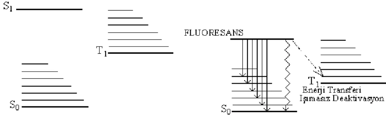 Şekil 2.8 Geciktirilmiş floresansın şematik diyagramı 