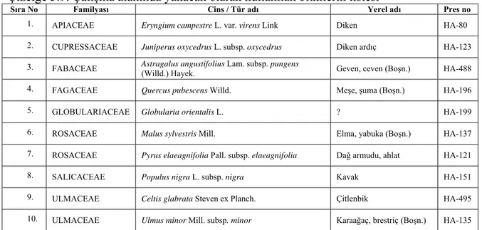 Çizelge 5.9. Çalışma alanında yakacak olarak kullanılan bitkilerin listesi 